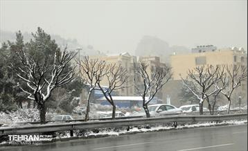 بارش برف زمستانی در منطقه ۲ 2