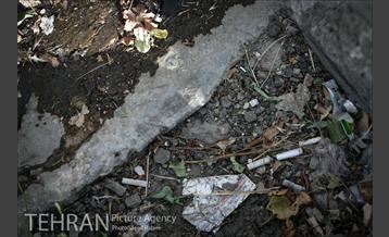 فیلتر سیگار زباله است 11