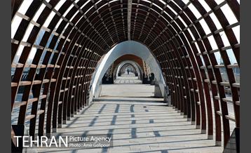 پاییز دریاچه شهدای خلیج فارس 8