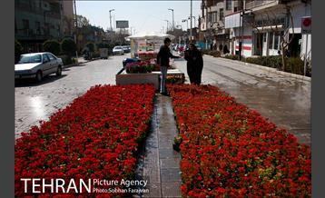 نمایشگاه گل و گیاه نوروزی در پیاده راه ۱۷ شهریور