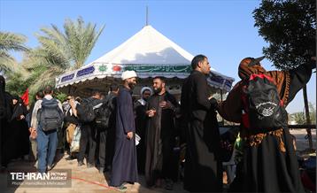 پیاده روی اربعین حسینی؛ طریق العلماء 24