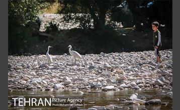 آزادسازی پرندگان و جمع آوری زباله در پارک جنگلی خجیر 28
