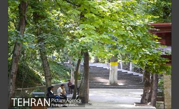 بوستان قیطریه 29