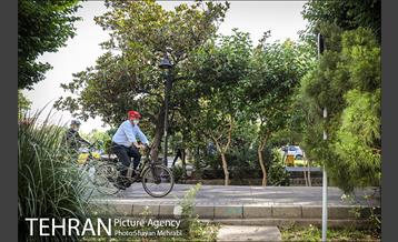 پویش سه شنبه های بدون خودرو 15