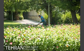 ظهر گرم تابستان 14