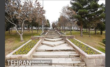 باغ راه فدک 30