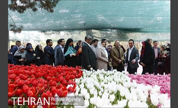 مراسم پاسداشت اقدام ارزنده دکتر هومن اردبیلی 4