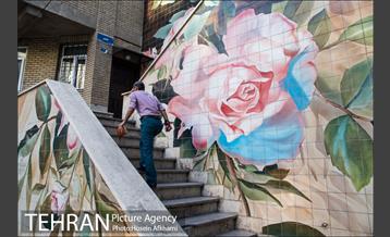 پله اول تا پله هشتم خیابان ولیعصر(عج)‎ 13