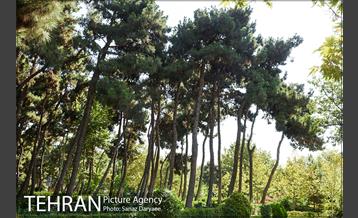 بوستان رسالت 11