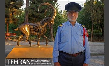 بوستان سهند 13