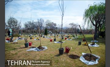 ۱۰۰ نهال به نام ۱۰۰ زن نامدار قرن 10