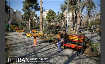 افتتاح پروژه های شهرداری منطقه ۴ 6