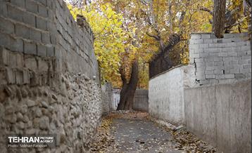 طبیعت پاییزی کوچه باغ‌های محله کن 3