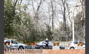 بوستان پدر 18