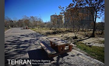 بوستان پلیس 46