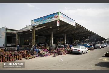 بازار میوه و تره بار مرکزی تهران در آستانه نوروز 11