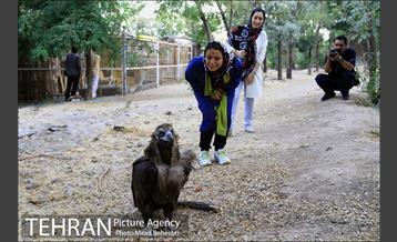 نشست تغییرات اقلیمی با حضور هنرمندان و فعالان محیط زیست‎ 23