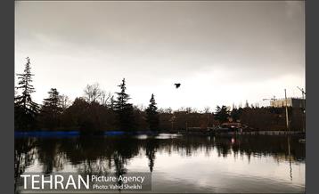 پارک ملت در یک روز زمستانی 14