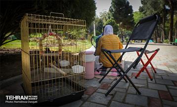 روز طبیعت در پارک ساعی و حاشیه اتوبان مدرس  28