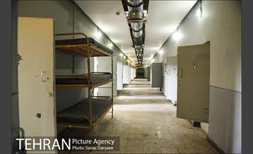 باغ موزه قصر 41