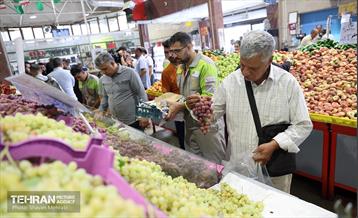 تور رسانه‌ای بازدید از بازارهای میوه و تره‌بار 19