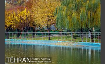 پاییز در بوستان المهدی(عج) 17