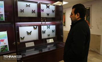 بازدید گروه های دوام مناطق از باغ گیاه شناسی ملی 4