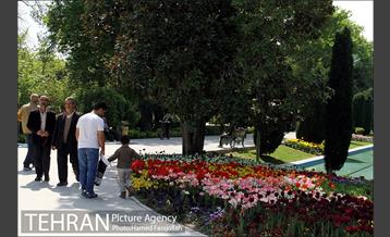 لاله های بهاری پارک شهر 16