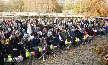 ششمین جشنواره خرمالو 15