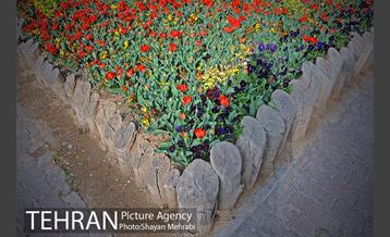 رویش گل های لاله در پارک شهر 37