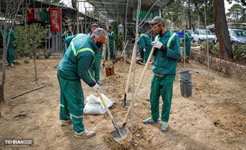 روز درختکاری با حضور مادران شهدا 11