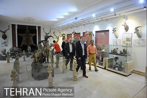 بازدید شهردار بلگراد از موزه طبیعت و حیات وحش دارآباد 6