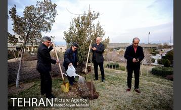 کاشت شش نهال درخت زیتون با حضور کارگرداران سینمای ایران 15
