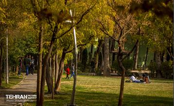 سمفونی رنگ های پاییزی - پارک لاله 39