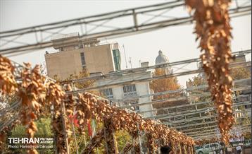 گذرگاه های پاییزی پایتخت - پارک ملت  7