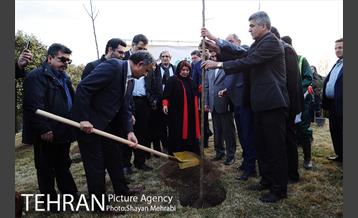 کاشت شش نهال درخت زیتون با حضور کارگرداران سینمای ایران 11