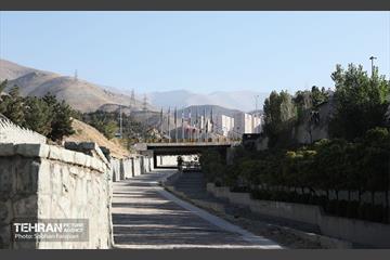 هفتاد‌ودومین رویداد امید و افتخار 31
