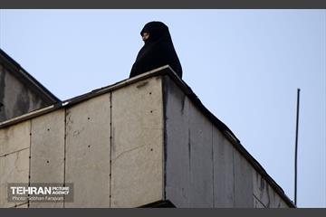 راهپیمایی یاران مهدی(عج)، یاوران رهبری 21