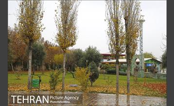 پاییز در بوستان رازی 17