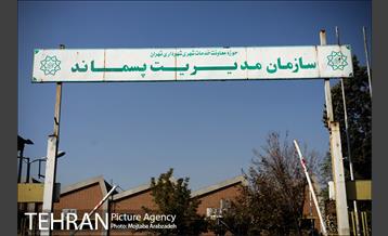 بازدید مدیرکل دفتر شهردار 4 آبان 1399 17