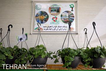 طرح گلماند در منطقه 18
