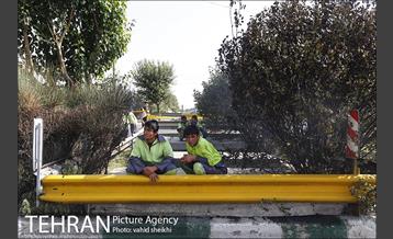 آتش سوزی در کارخانه رنگ  17