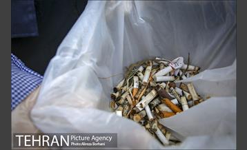 روز جهانی زمین پاک 11