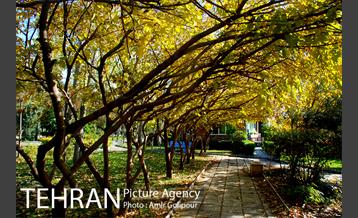 شهرک صدرا 47