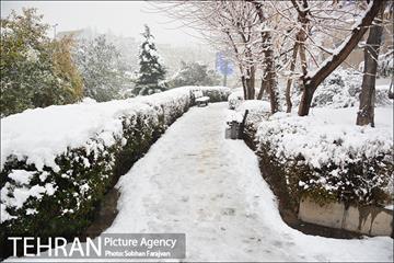 بارش برف زمستانی در تهران-2 30