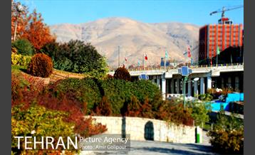 پاییز رنگارنگ بوستان جوانمردان ایران 5