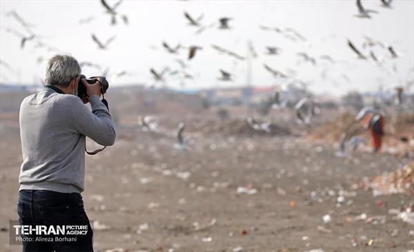 تور بازدید عکاسان از مجتمع آرادکوه 14