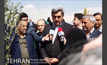 آیین کاشت درخت صلح و دوستی 32