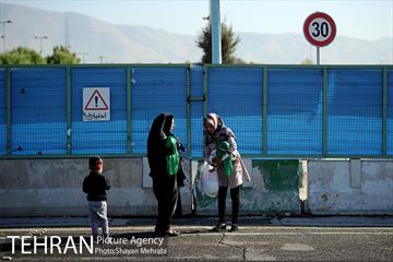 همایش شیرخوارگان حسینی در مصلی تهران 8