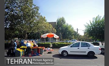 میوه فروشان خیابانی 20